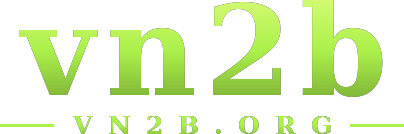vn2b logo